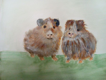 murmeltiere von manfred